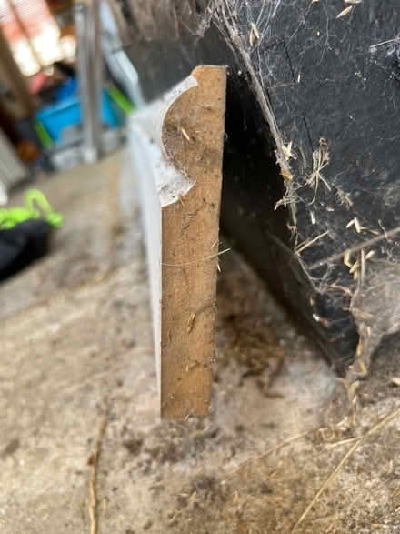 Photo of free Skirting board (Clapham MK41) #1