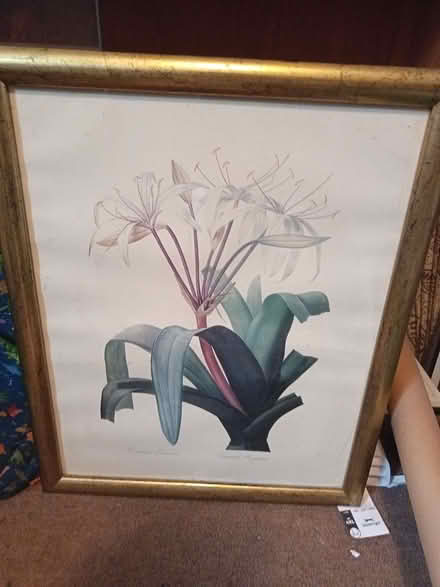 Photo of free Large Framed picture (Kingsley Park) #1
