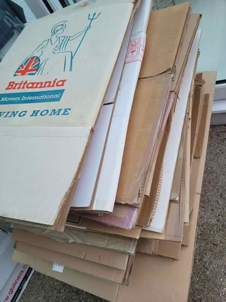 Photo of free Cardboard packaging boxes (St Austell PL25) #1