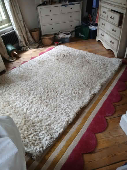Photo of free Rug (TW12) #3