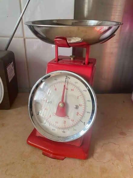 Photo of free Red scales (Boughton Monchelsea ME17) #1