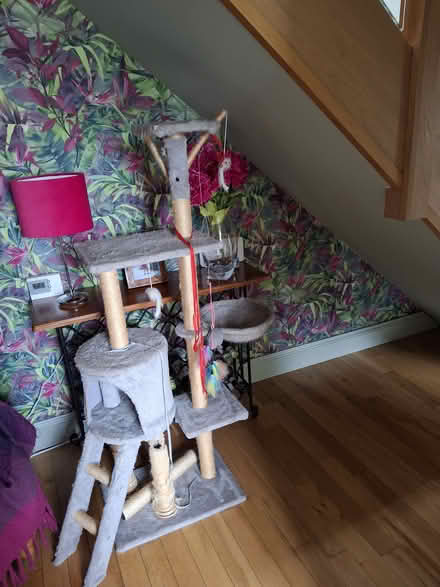 Photo of free Cat tree (crossford KY12) #2