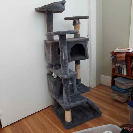 Photo of free Cat Tree (Berkeley) #1