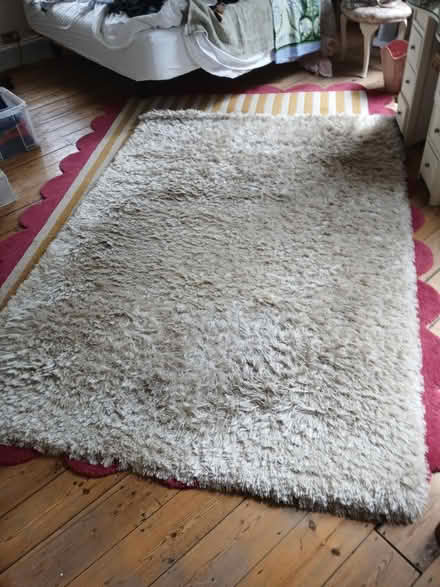 Photo of free Rug (TW12) #2