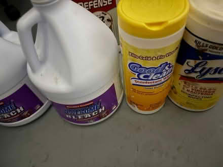 Photo of free sprayers bleach, wipes, stripper (alief south west) #2