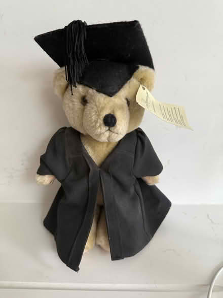 Photo of free Graduation Bear (Addlestone KT15) #1