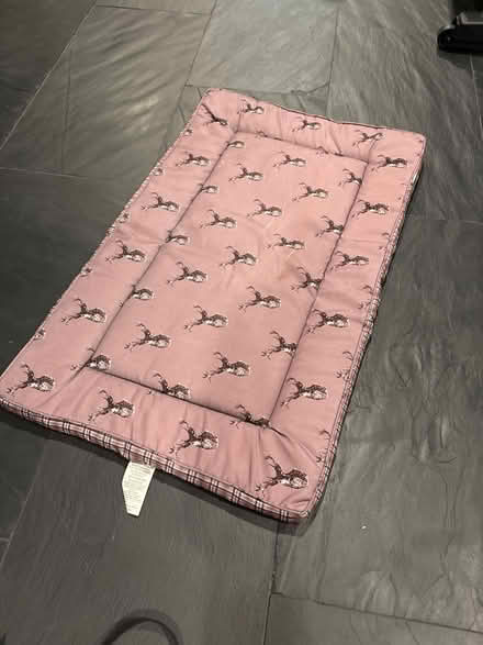 Photo of free Dog crate mat (60093) #1
