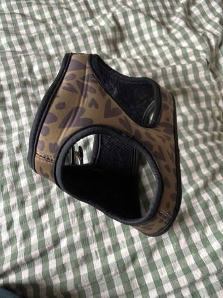 Photo of free Dog harness - Caroline Gardner (Chesterfield S40) #1