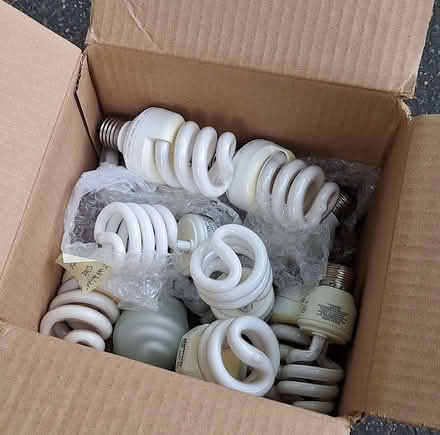 Photo of free Many light bulbs! #1/7 CFL spirals (Davis/Teele Square area) #1