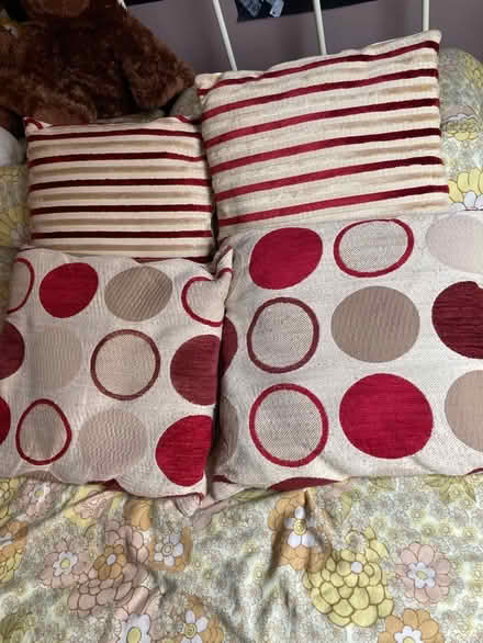 Photo of free 4 cushions (Howhlill Quarries HG2) #1