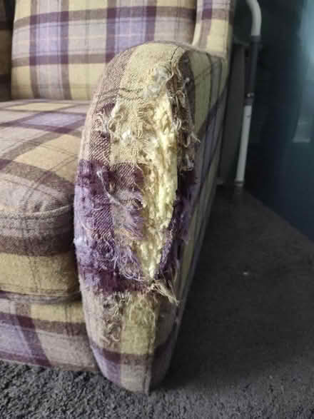 Photo of free Two Armchairs and Footstool - Reupholstery Project (Torwood FK5) #4