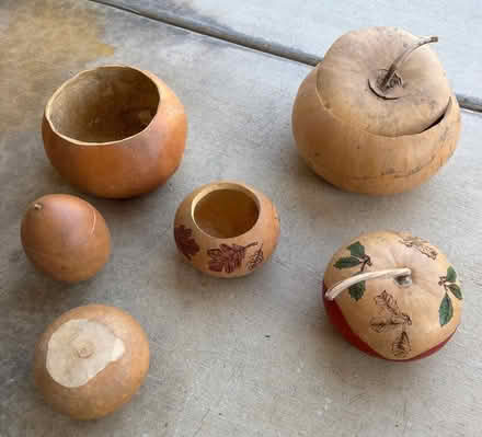 Photo of free Gourds (North Fontana) #2