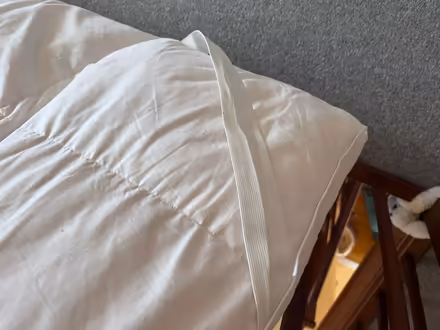 Photo of free Goose down mattress topper (Thornton le Beans DL6) #2