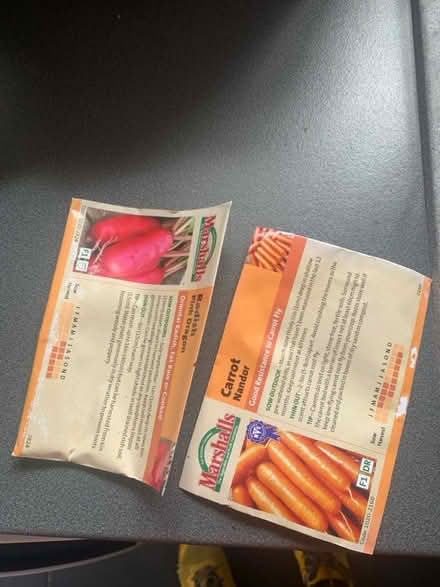 Photo of free Seed packets (North walbottle NE5) #1