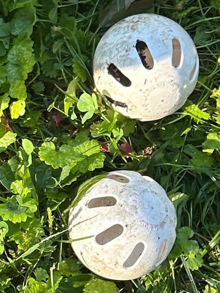 Photo of free Practice baseballs (Friendship Heights) #2