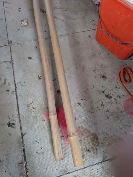 Photo of free Bamboo (Rothwell LS26) #1