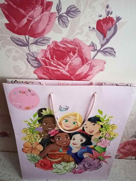 Photo of free Disney Princess Gift Bag (West Drayton UB7) #1