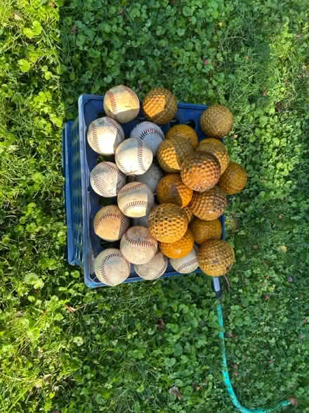 Photo of free Practice baseballs (Friendship Heights) #1