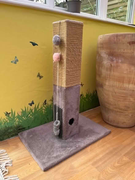 Photo of free Cat scratching pole good condition (Slade Green DA8) #1