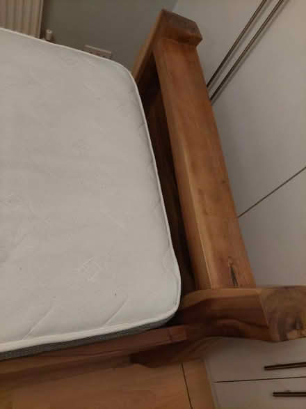 Photo of free Jarrah single bed (Allestree) #4