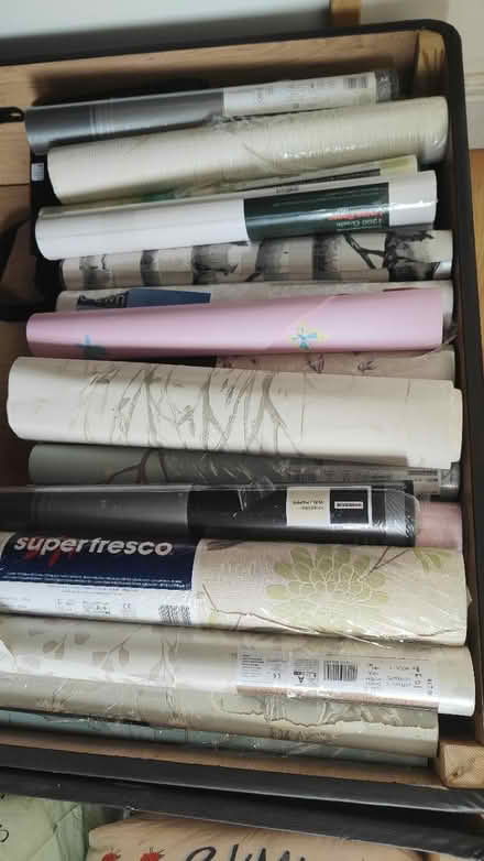Photo of free Wallpaper Rolls ( lots) (Old Harlow CM17) #1