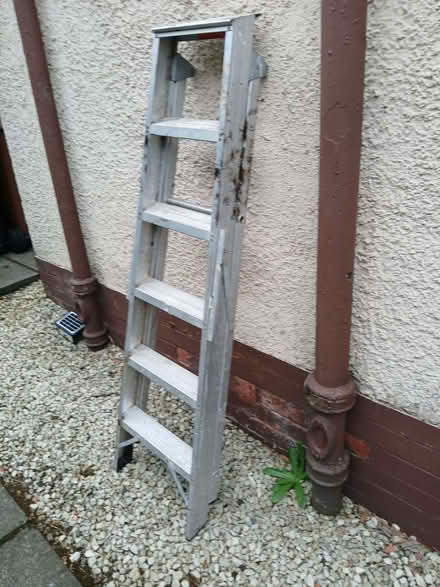 Photo of free Step ladder (Springburn G21) #2