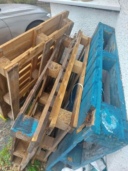 Photo of free European size pallets (Hanworth TW13) #2
