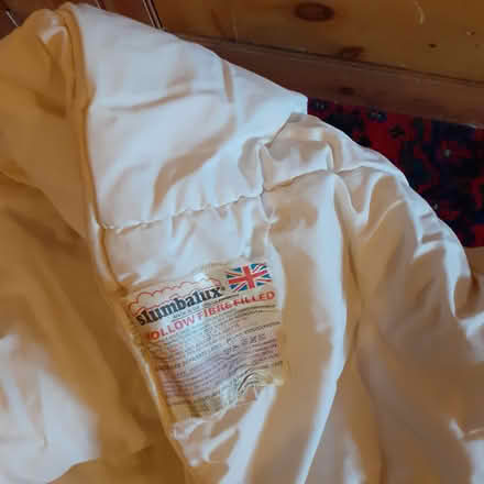 Photo of free Single duvet in storage case (CF5 canton) #1