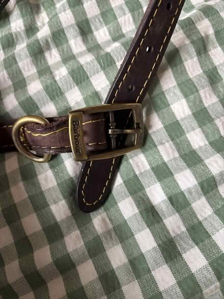 Photo of free Barbour dog collar (Chesterfield S40) #2