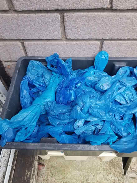 Photo of free Plastic bags (Kendal LA9) #1