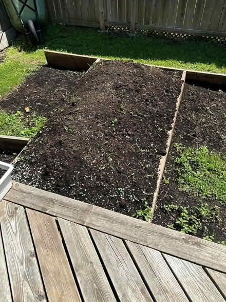 Photo of free top soil (Orleans) #1