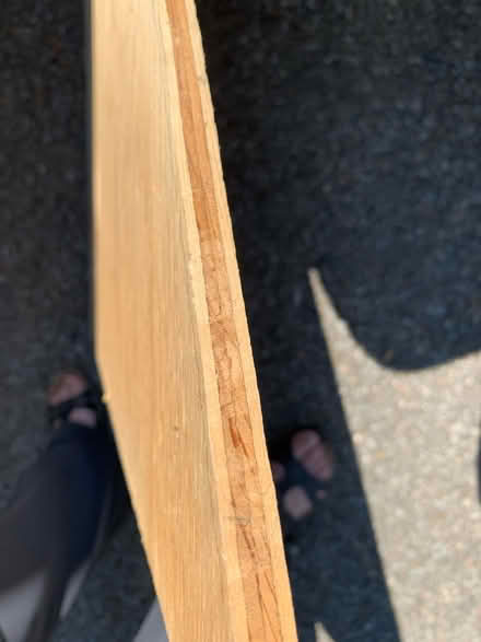 Photo of free Large Irregular Shaped 1/2” Plywood (South Brampton) #2
