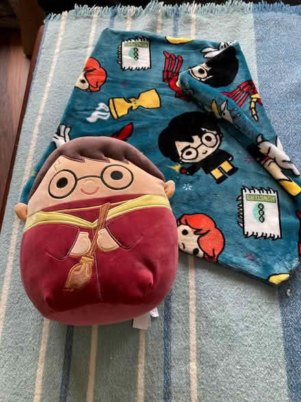 Photo of free Harry Potter Squishmallow (Putnoe MK41) #1