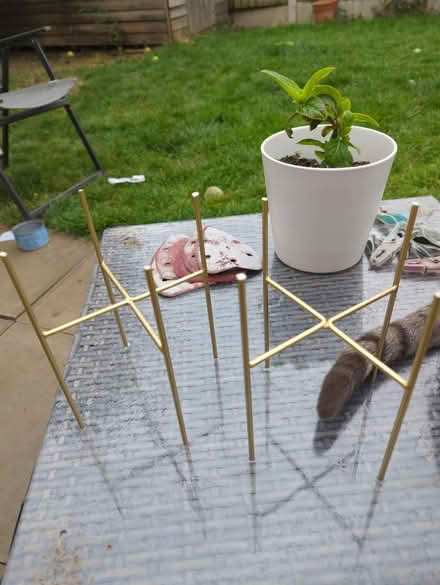 Photo of free Plant stands (WA6 Helsby) #1