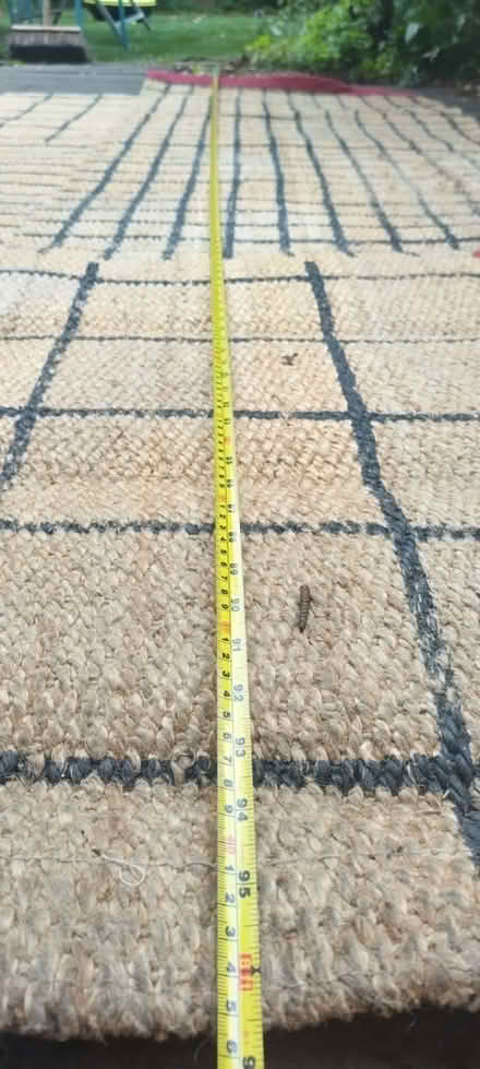 Photo of free Sisal rug (Jordanhill G13) #1