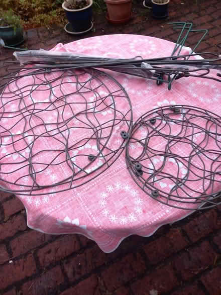 Photo of free Metal plant supports (Chorleywood WD3 5) #1