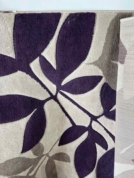 Photo of free 2 x rugs (Cleghorn ML11) #1