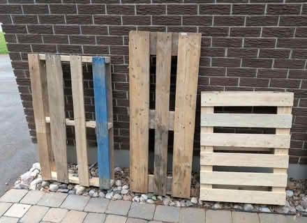 Photo of free wood pallets (near 2820 Springland Dr,) #1