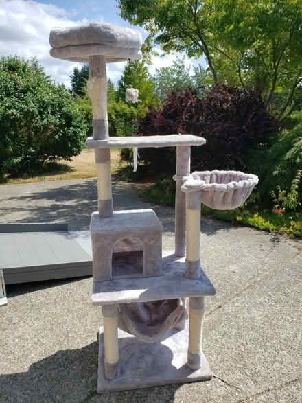 Photo of free Cat scratching post. Shangrila (Brookswood) #1