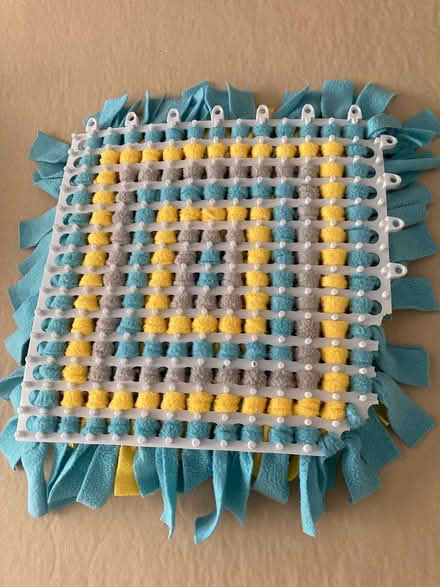 Photo of free Snuffle mat (Madeley TF7) #2