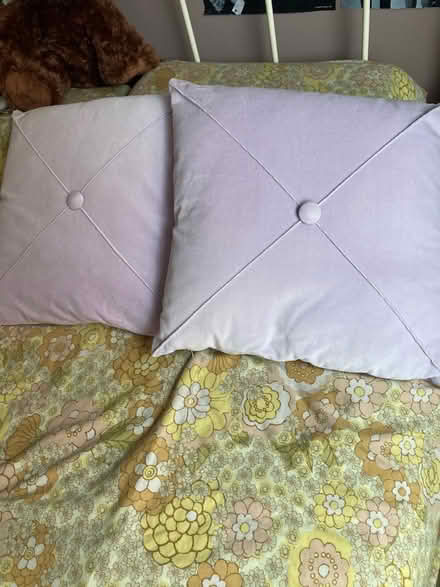 Photo of free 2 cushions (Howhlill Quarries HG2) #1