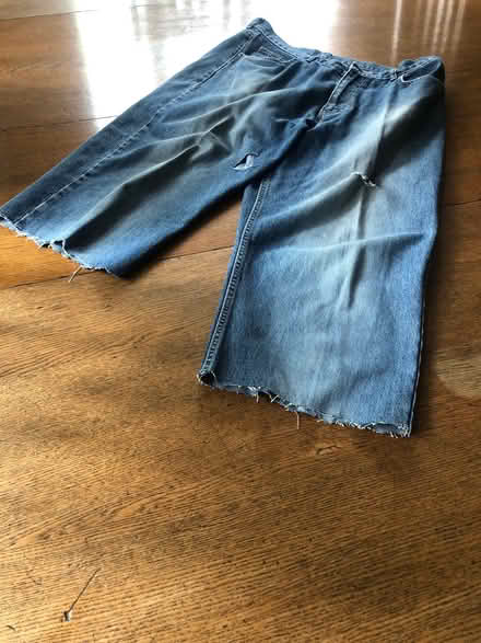 Photo of free Men’s cut-offs (Lydiard Millicent SN5) #1