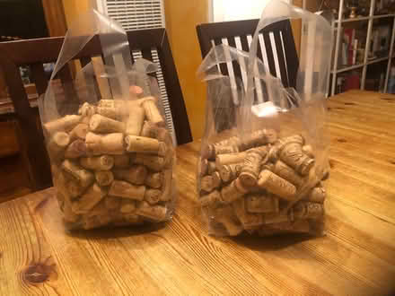 Photo of free Corks (San Lorenzo) #1