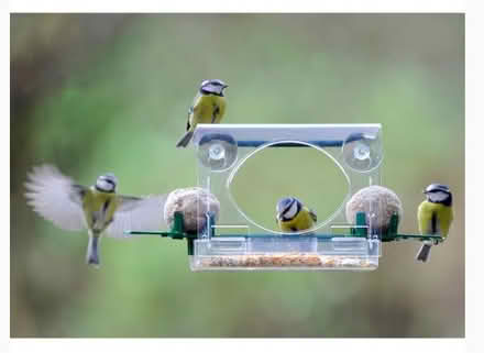 Photo of free Window feeder (bought from Crocus) (Wells, BA5) #1
