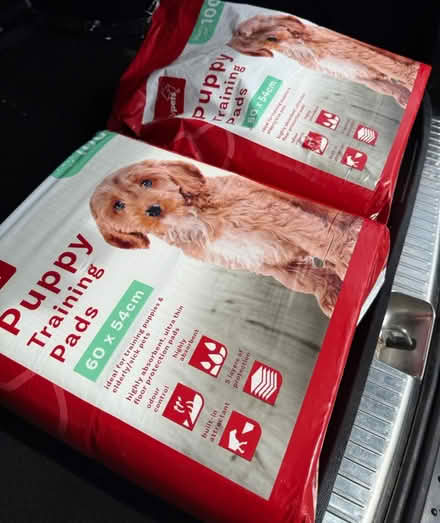 Photo of free Puppy Training Pads - 60cm x 54cm (Sidcup) #1