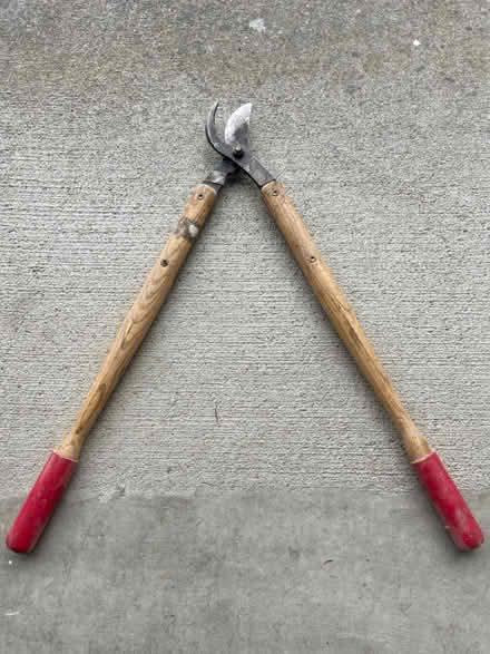 Photo of free Branch trimmers (Broadview) #1