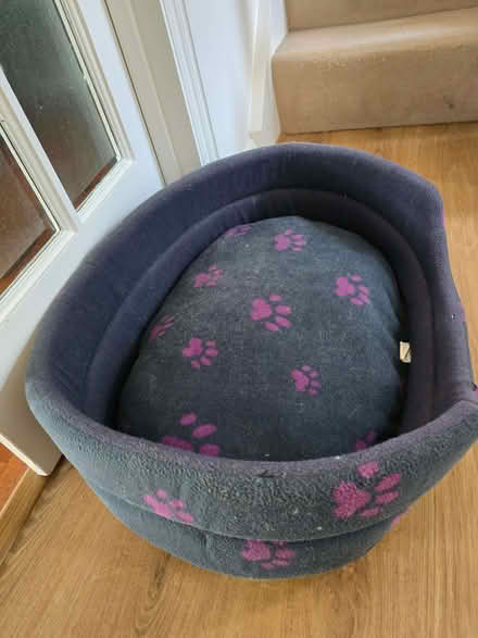 Photo of free Cat/small dog basket (Bedmond WD4) #2