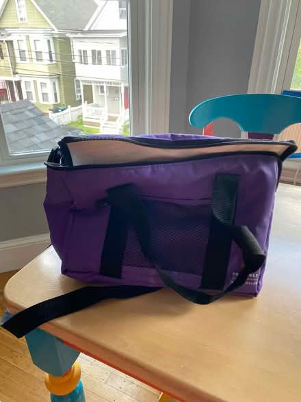 Photo of free Two cooler bags (Lowell and highland) #1