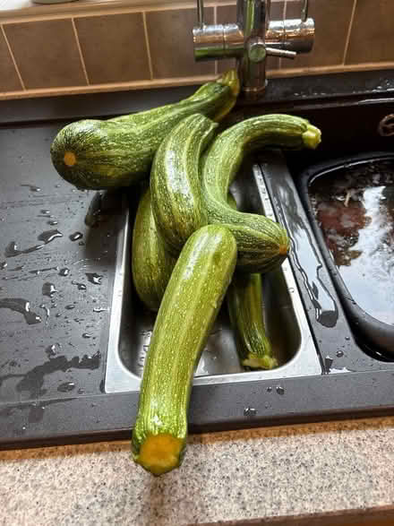 Photo of free Courgettes and cucumbers (Lyncombe) #1