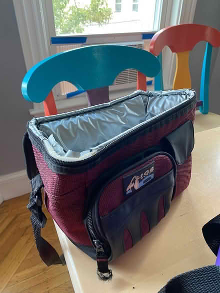 Photo of free Two cooler bags (Lowell and highland) #2